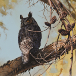 Great Horned Owl by Andrew Denman