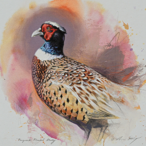 Pheasant by Andrew Denman