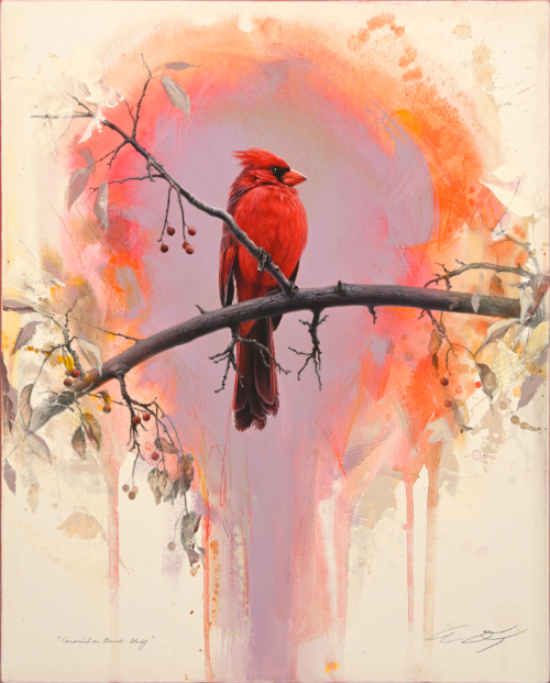 Cardinal by Andrew Denman