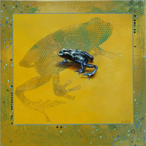 Dart Poison Frog by Andrew Denman