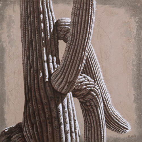Saguaro Cactus by Andrew Denman
