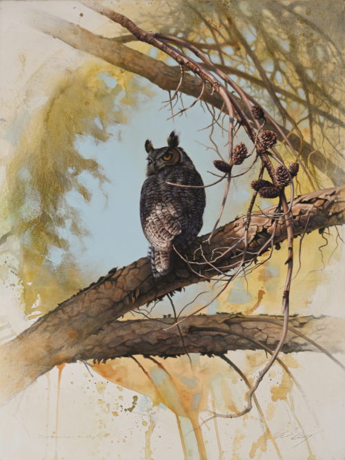 Great Horned Owl by Andrew Denman