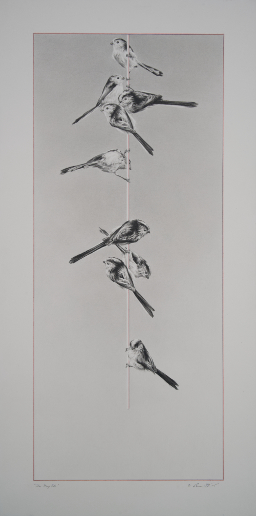 Long-Tailed Tit drawing by Andrew Denman
