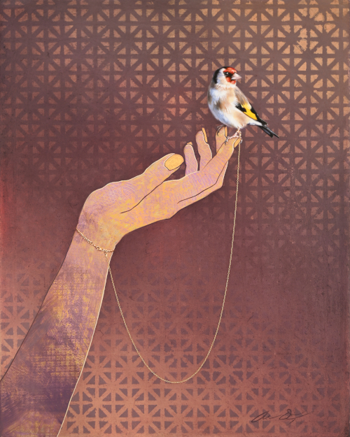European Goldfinch by Andrew Denman