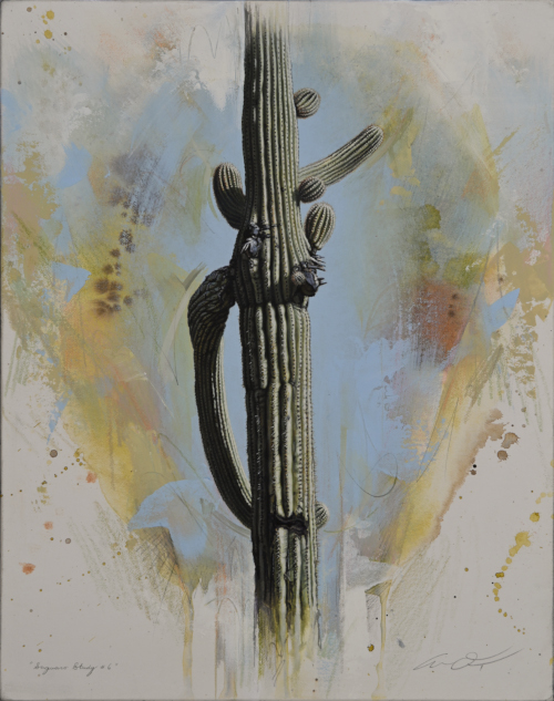 Saguaro Cactus by Andrew Denman