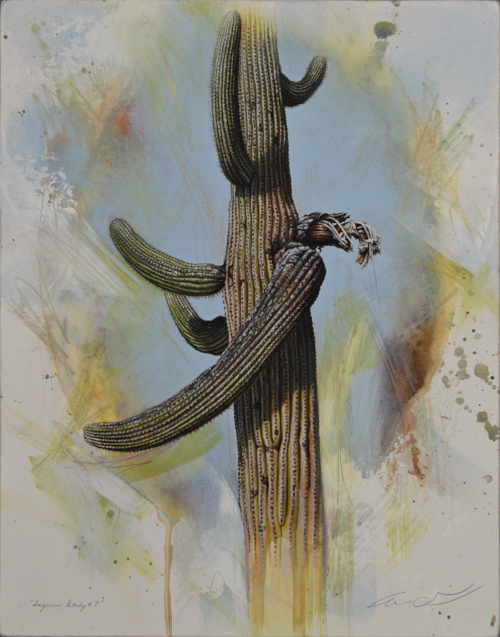 Saguaro Cactus by Andrew Denman
