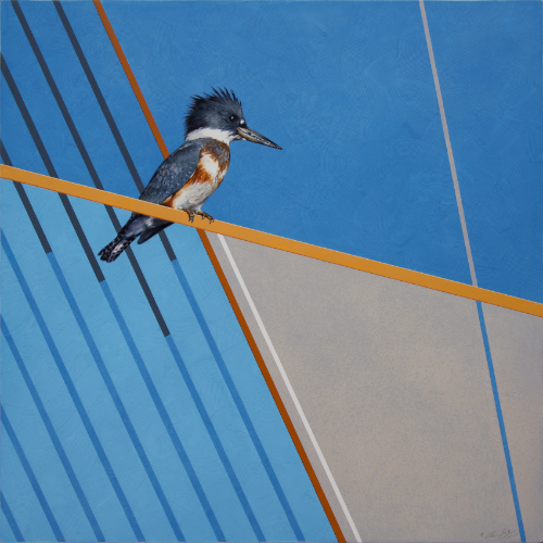 Kingfisher Painting by Andrew Denman