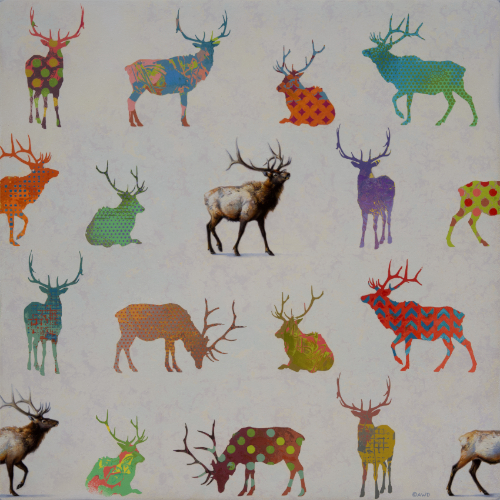 Bull Elk by Andrew Denman